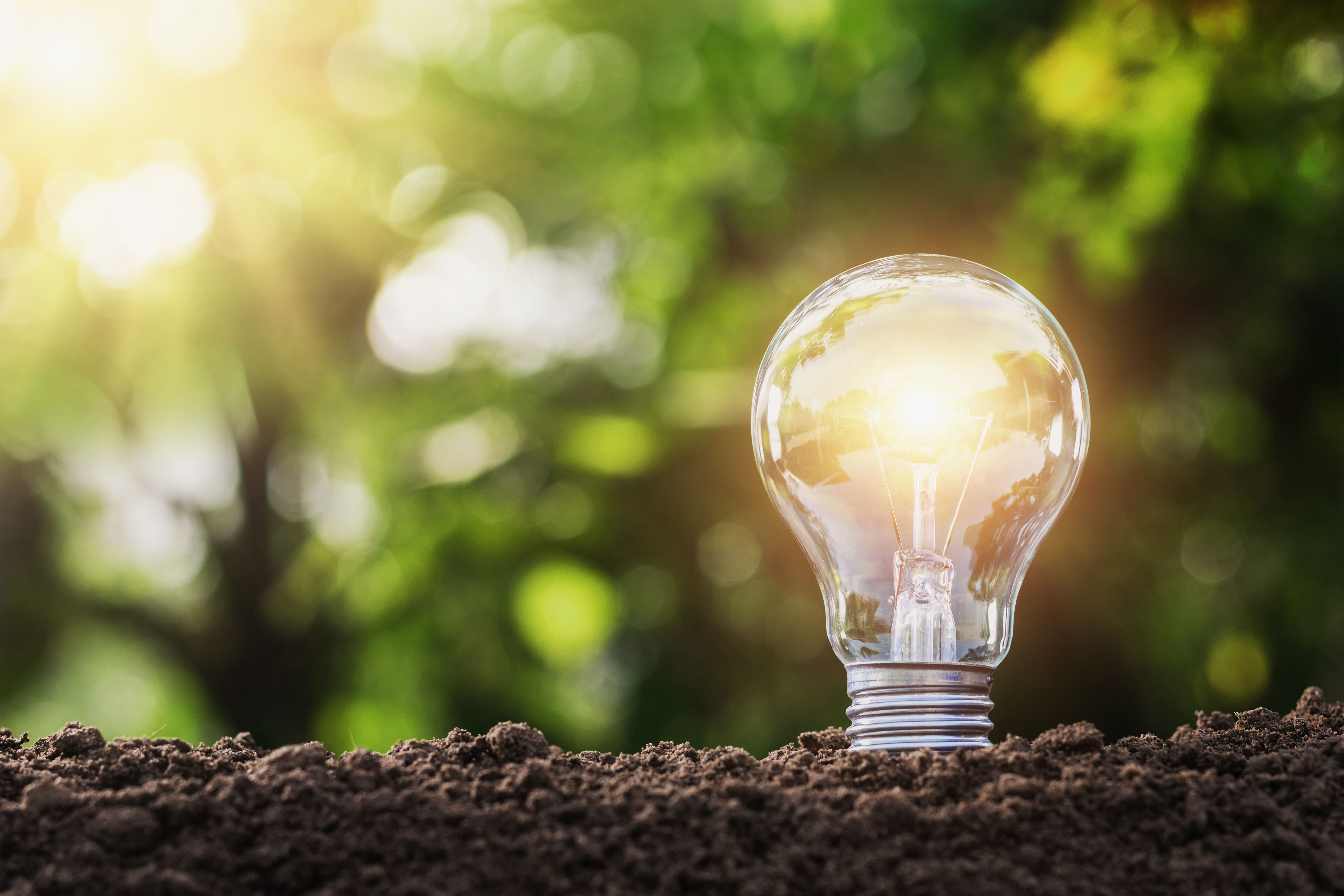 Design Suite Programme Page mock