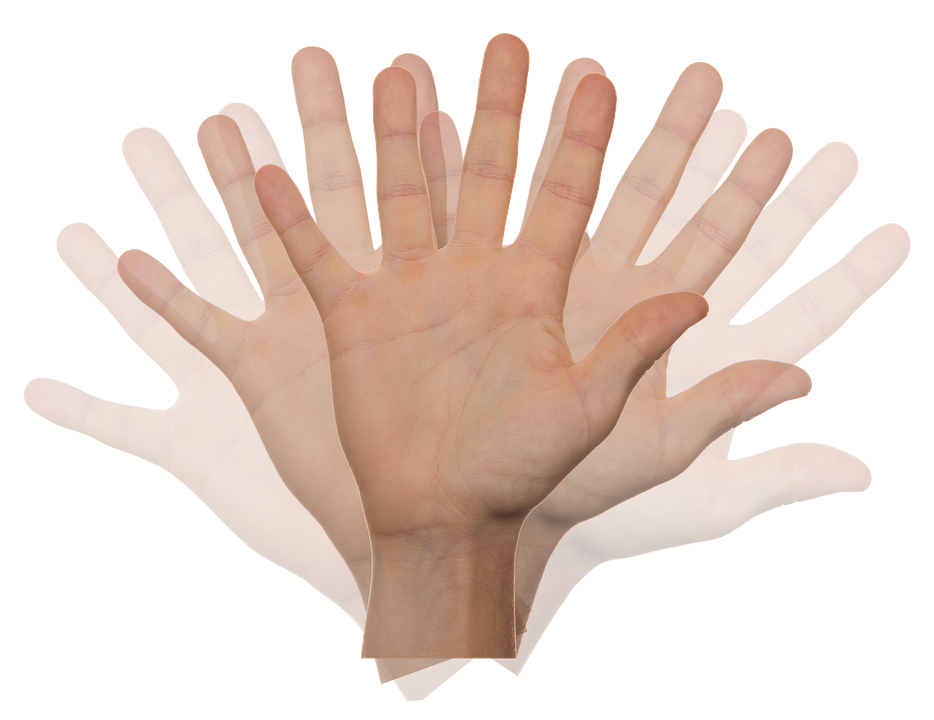 1LLBS3-201<span class="highlight">9</span>-20-SEM2 1LLBS3 | British Sign Language Intermediate 1 (Level 4) | 201<span class="highlight">9</span>-20 SEM2
