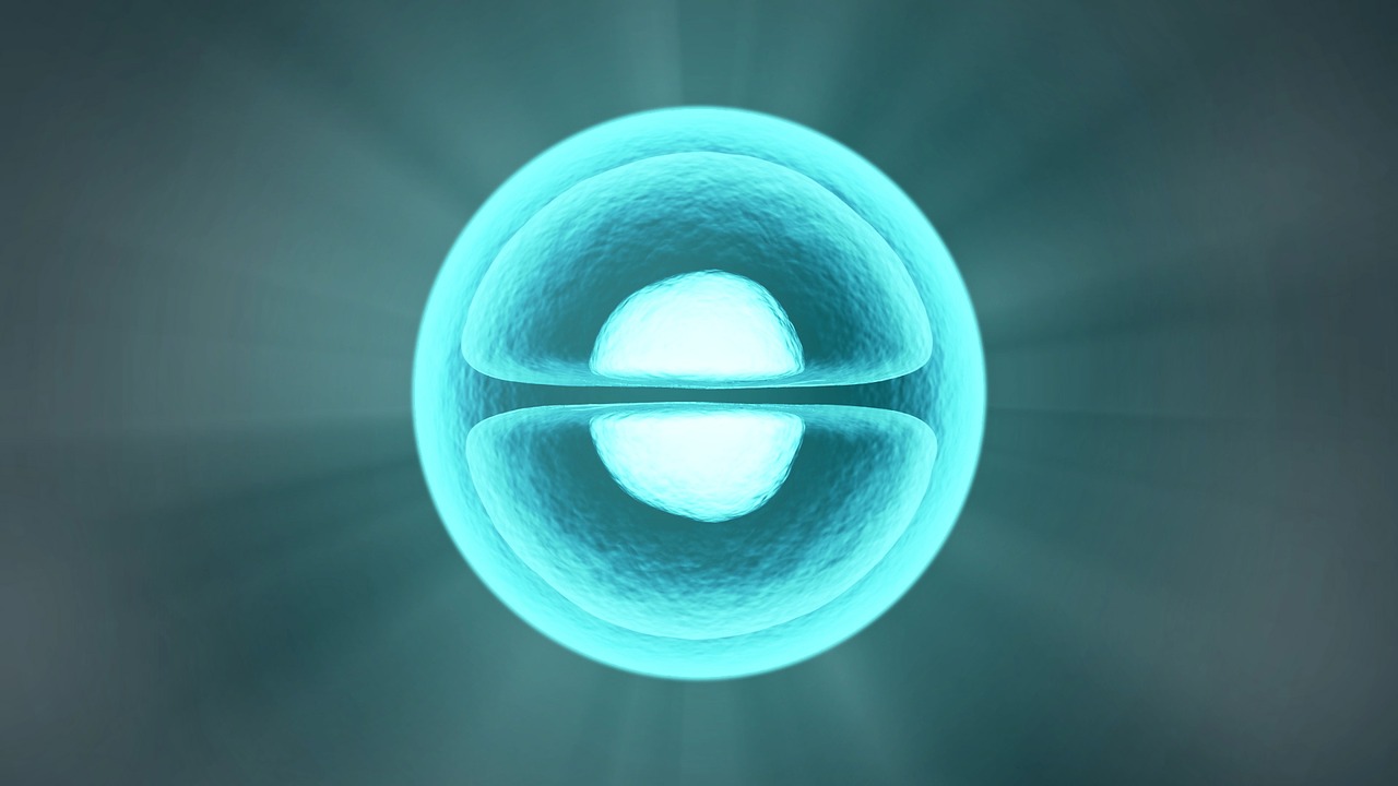1BI103-201<span class="highlight">9</span>-20 1BI103 | Cell Biology | 201<span class="highlight">9</span>-20
