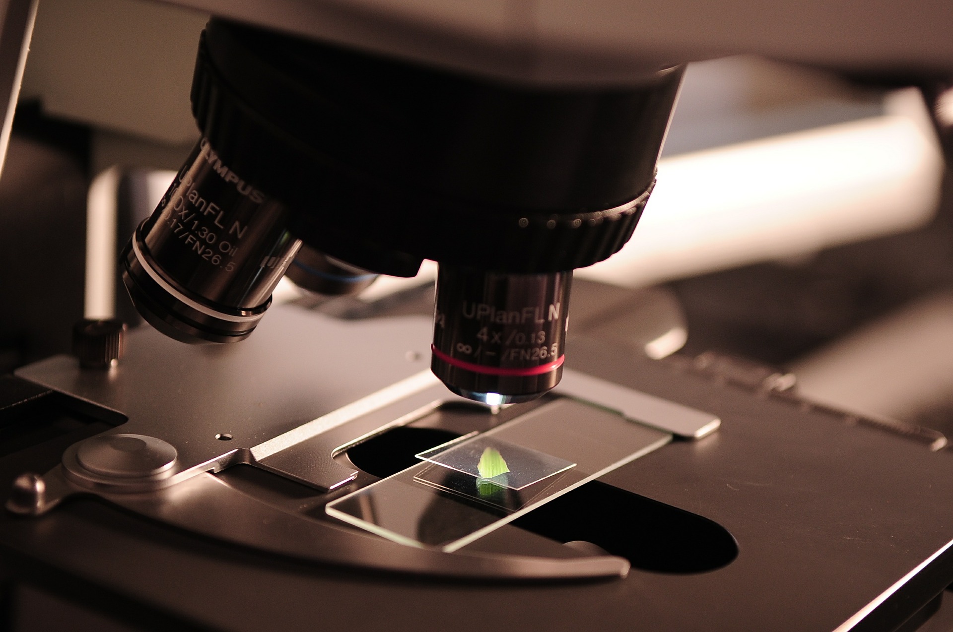 3BI002-201<span class="highlight">9</span>-20-SEM1 3BI002 | Medical Microbiology | 201<span class="highlight">9</span>-20 SEM1