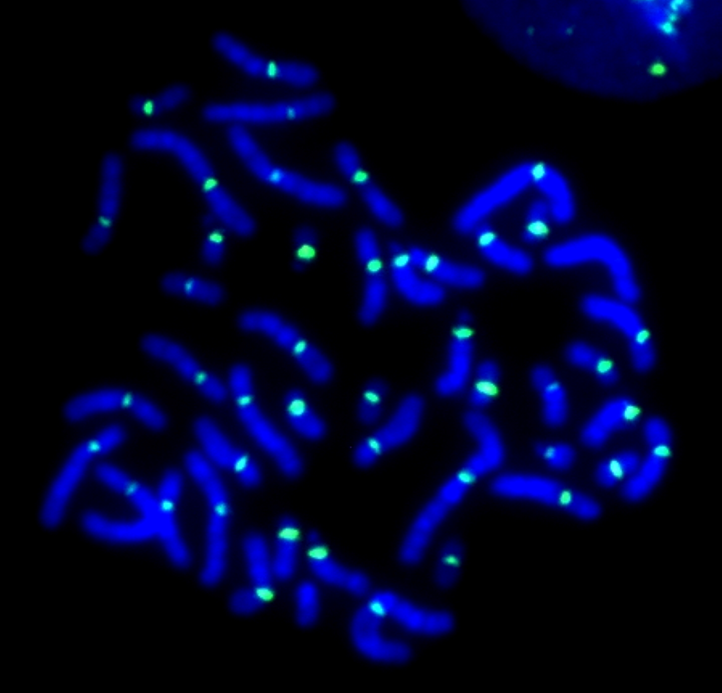 2BI004-201<span class="highlight">9</span>-20-SEM3 2BI004 | Cell and Molecular Biology | 201<span class="highlight">9</span>-20 SEM3