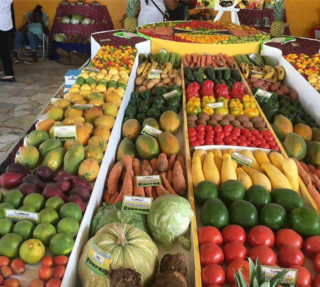 3EN60<span class="highlight">8</span>-2020-21-SEM1-A 3EN60<span class="highlight">8</span> | Research Now 1 | 2020-21 SEM1 (Group A)