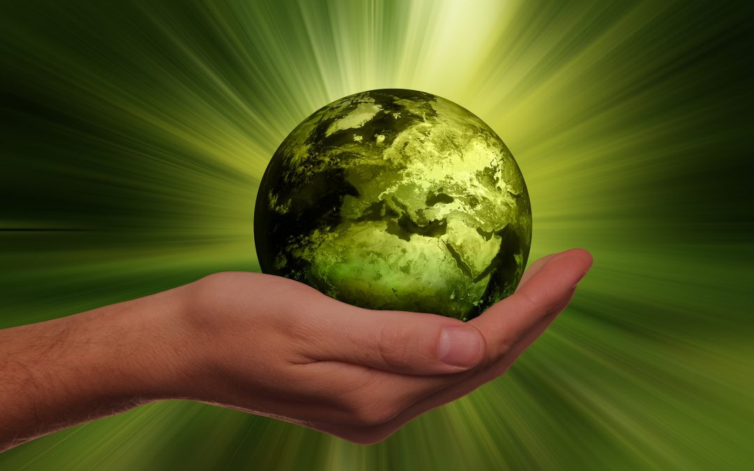 MBB7004M-2021-22-T1-LDN MBB7004M | Dynamic Perspectives on Sustainable Business | 2021-22 T1 (Group LDN)