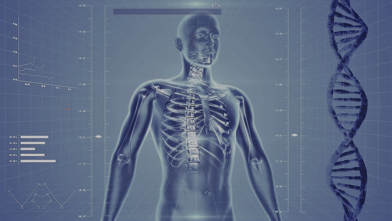 BIO4002M | Human Anatomy and Physiology | 2021-22 YEAR (Group A)