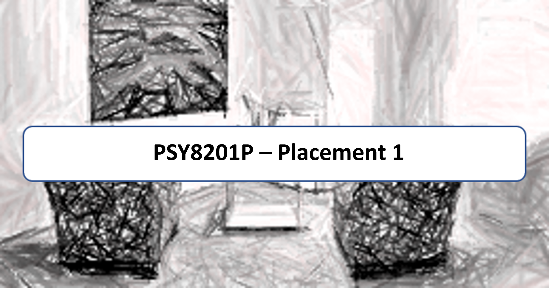 PSY<span class="highlight">8</span>201P-2021-22-SEM1-A PSY<span class="highlight">8</span>201P | Placement 1 | 2021-22 SEM1 (Group A)
