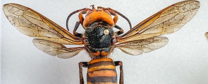 3CL02<span class="highlight">8</span>-2021-22-SEM1-A 3CL02<span class="highlight">8</span> | Murder | 2021-22 SEM1 (Group A)