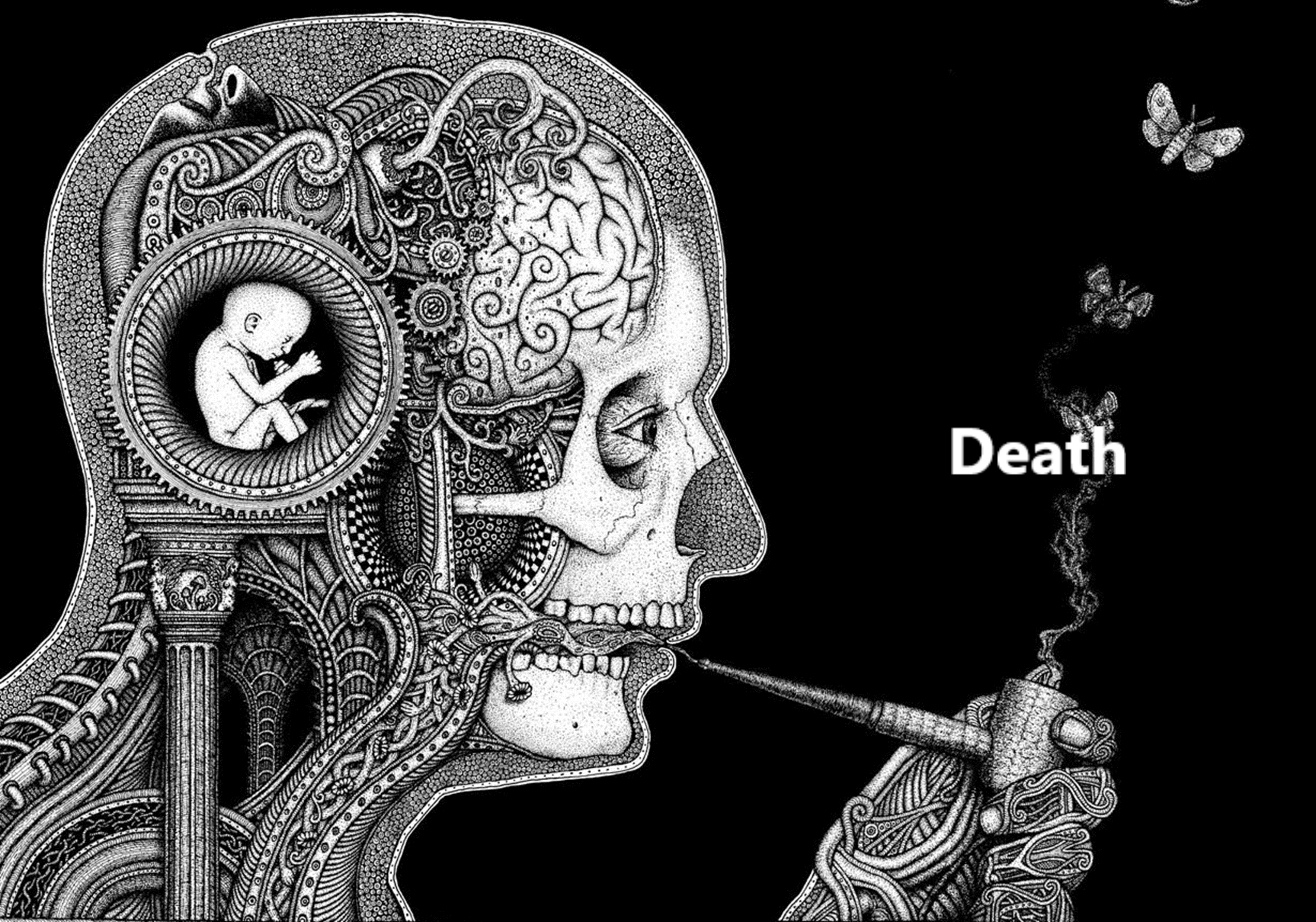 3SC02<span class="highlight">8</span>-2021-22-SEM2-A 3SC02<span class="highlight">8</span> | Death | 2021-22 SEM2 (Group A)