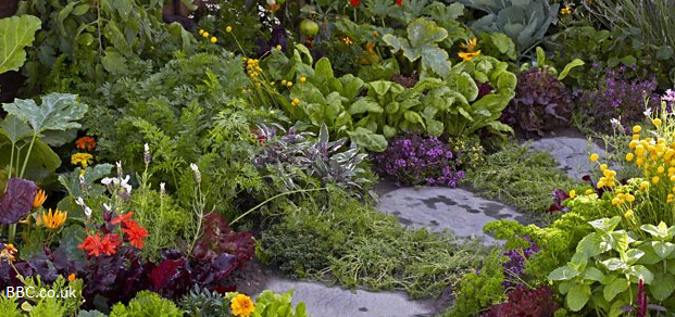 DOC<span class="highlight">8</span>005M-2022-23-T23-A DOC<span class="highlight">8</span>005M | Identifying and Articulating Issues in Professional Practice | 2022-23 T23 (Group A)