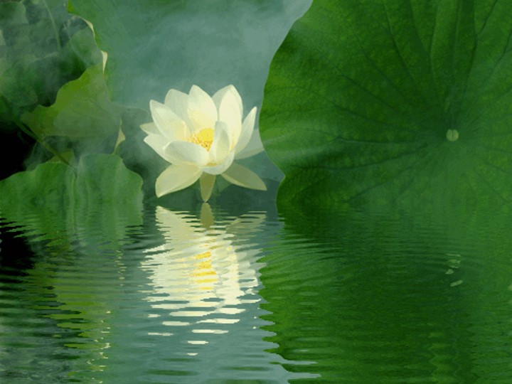 LAL600<span class="highlight">8</span>M-2023-24-SEM2-A LAL600<span class="highlight">8</span>M | Reflections in Linguistics | 2023-24 SEM2 (Group A)