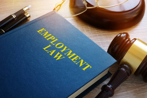 LAW500<span class="highlight">9</span>M-2023-24-SEM2-A LAW500<span class="highlight">9</span>M | Employment Law | 2023-24 SEM2 (Group A)