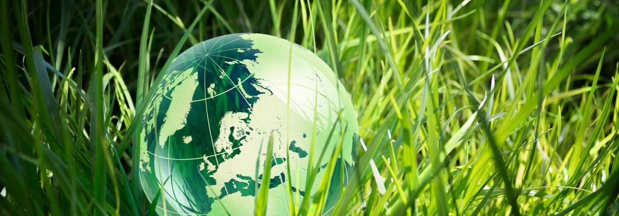 BMB400<span class="highlight">8</span>M-2024-25 BMB400<span class="highlight">8</span>M | Responsible Business Practice | 2024-25