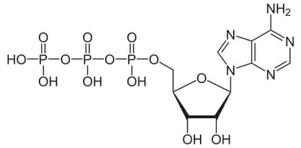 BIO400<span class="highlight">9</span>M-2024-25-SEM1-A BIO400<span class="highlight">9</span>M | Biological Molecules and Reactions | 2024-25 SEM1 (Group A)