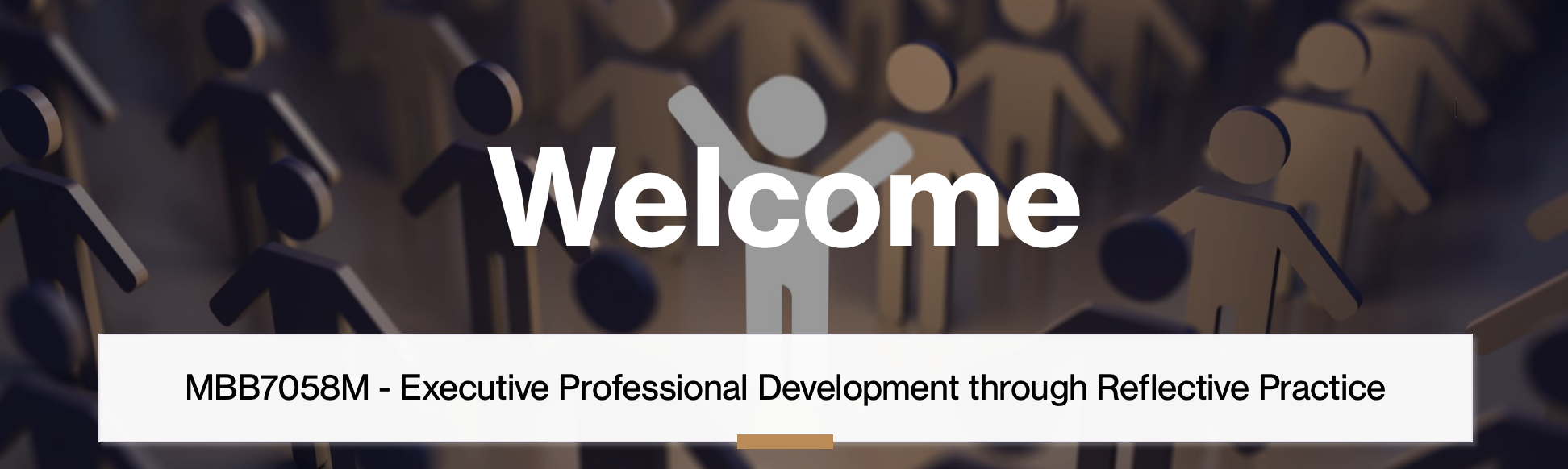 MBB705<span class="highlight">8</span>M-2024-25-T12-NOV MBB705<span class="highlight">8</span>M (NOV) | Executive Professional Development through Reflective Practice | 2024-25 T12 (Group NOV)