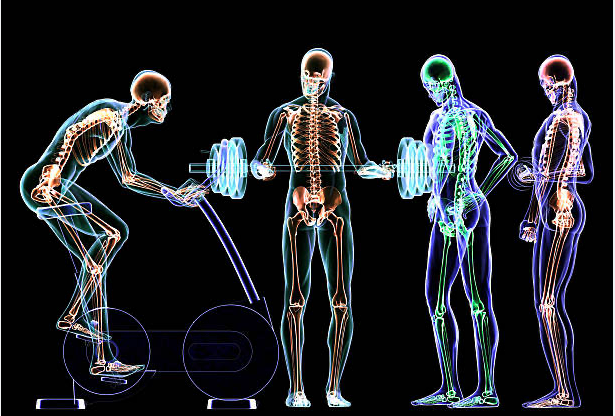 SPO600<span class="highlight">8</span>M-2024-25-SEM2-A SPO600<span class="highlight">8</span>M | Applied Sport and Exercise Physiology | 2024-25 SEM2 (Group A)