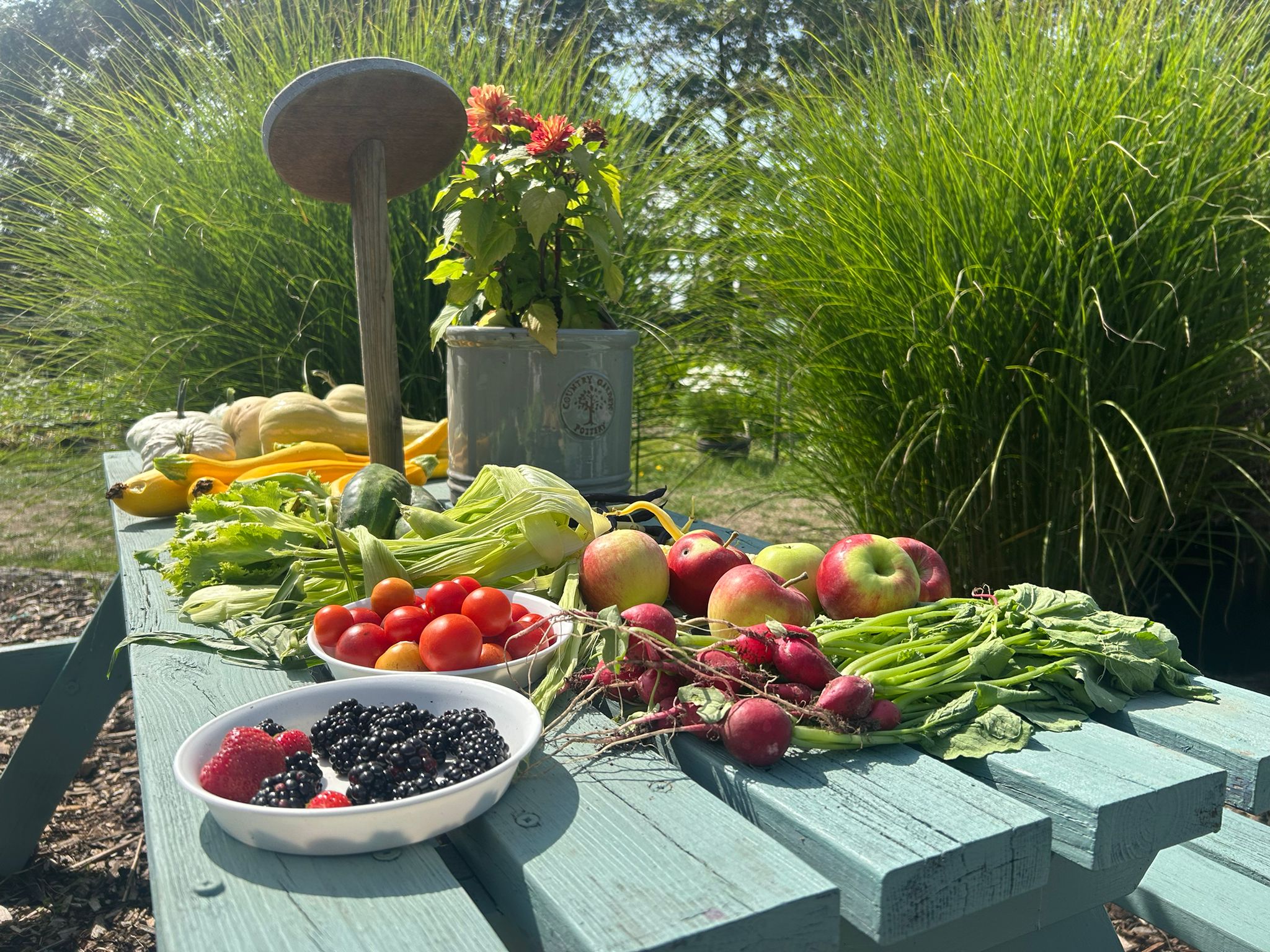 OCT500<span class="highlight">9</span>P-2025-26-SEM2-A OCT500<span class="highlight">9</span>P | Professional Practice Placement 2 | 2025-26 SEM2 (Group A)