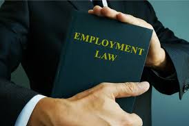 LAW7026M-2025-26-SEM2-A LAW7026M | Employment Law | 2025-26 SEM2 (Group A)