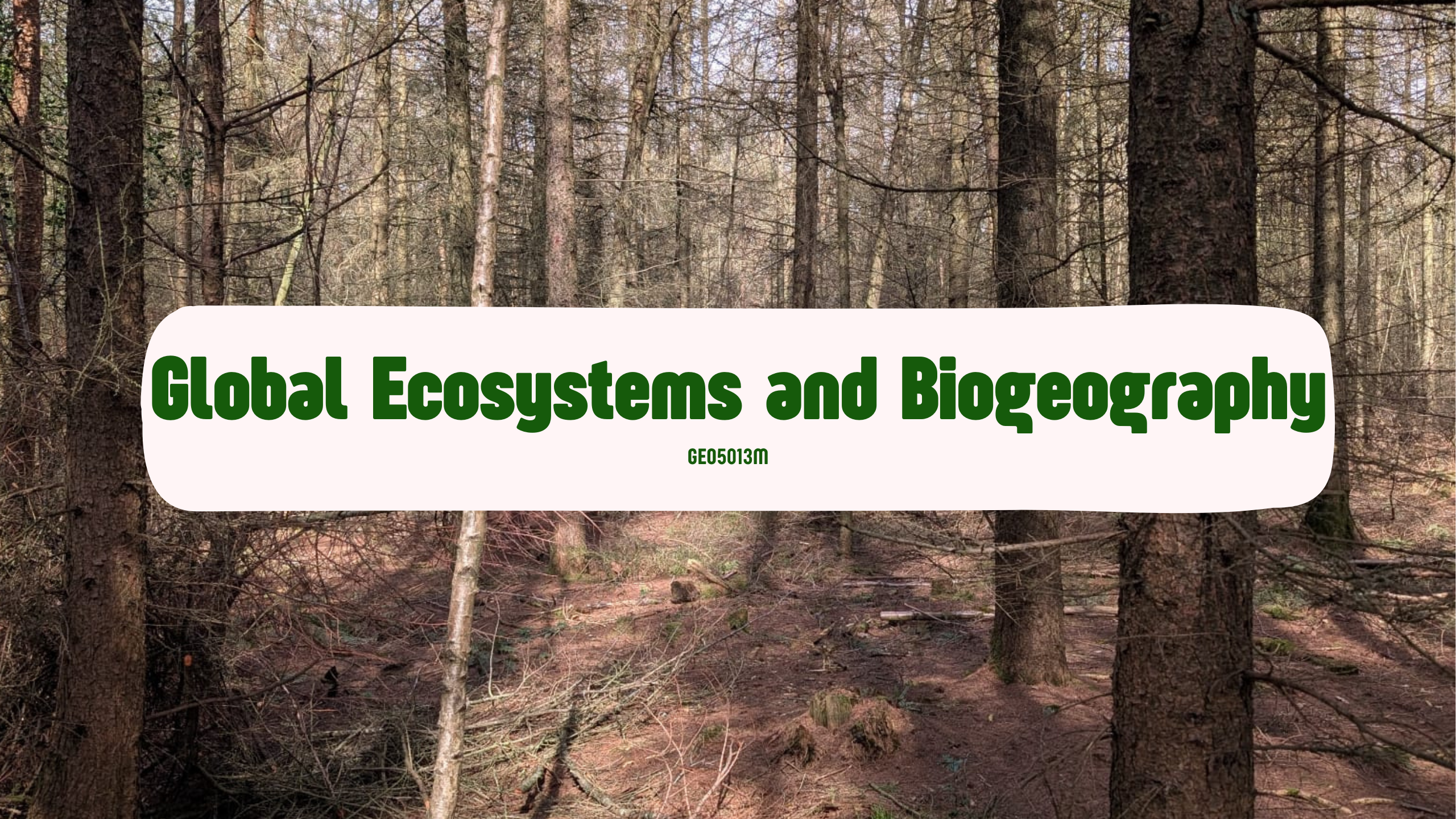 GEO5013M | Global Ecosystems and Biogeography | 2025-26 SEM1 (Group A)