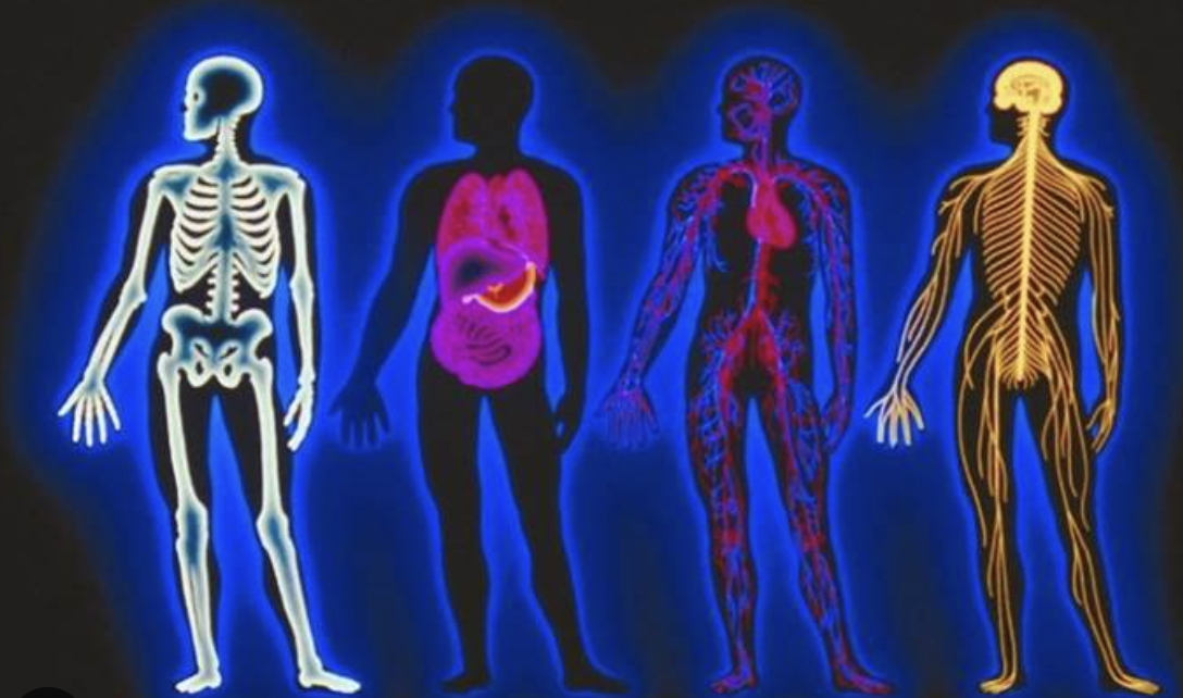 ODP7001M | Applied Pathophysiology | 2025-26 SEM12 (Group A)