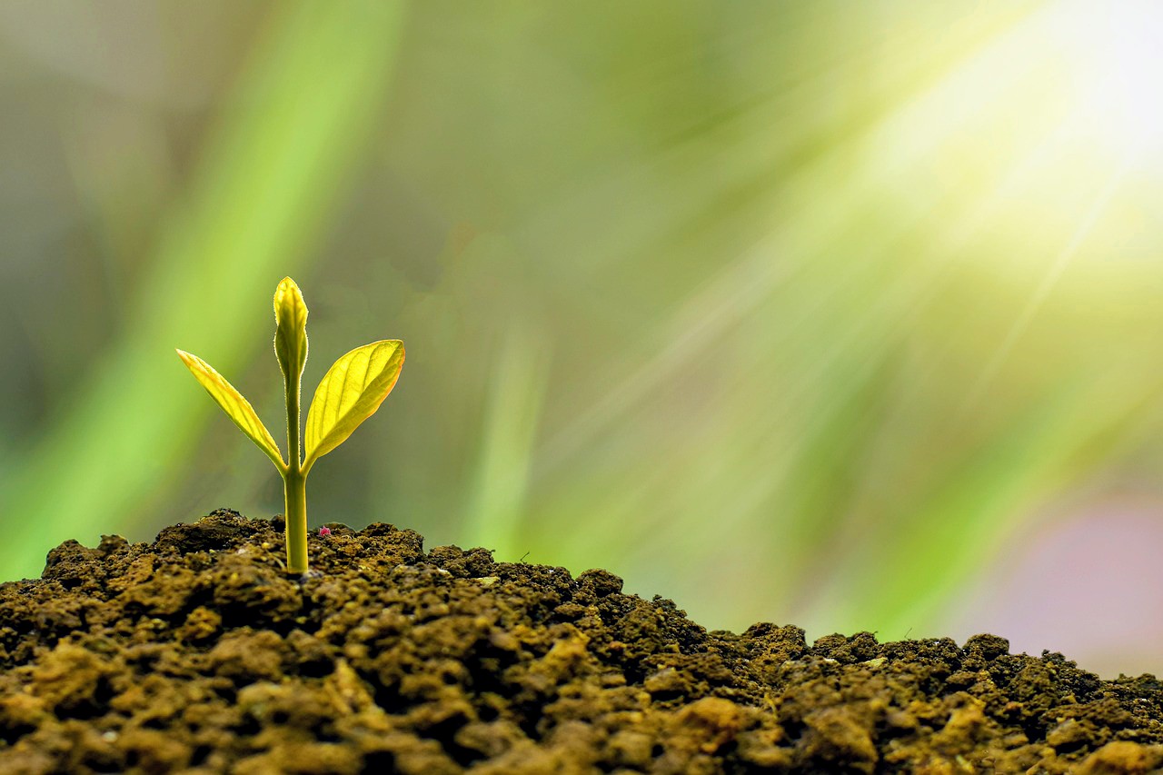 BMI400<span class="highlight">9</span>M-2025-26-SEM1-A BMI400<span class="highlight">9</span>M | Leading Global Business | 2025-26 SEM1 (Group A)