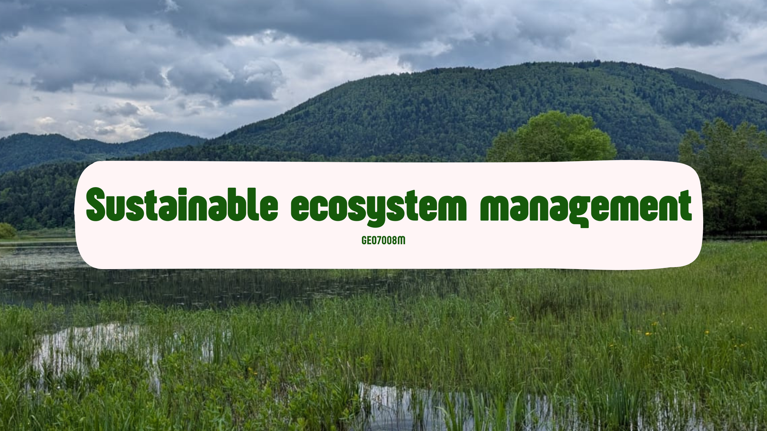 GEO7008M | Sustainable Ecosystem Management | 2025-26 SEM1 (Group A)