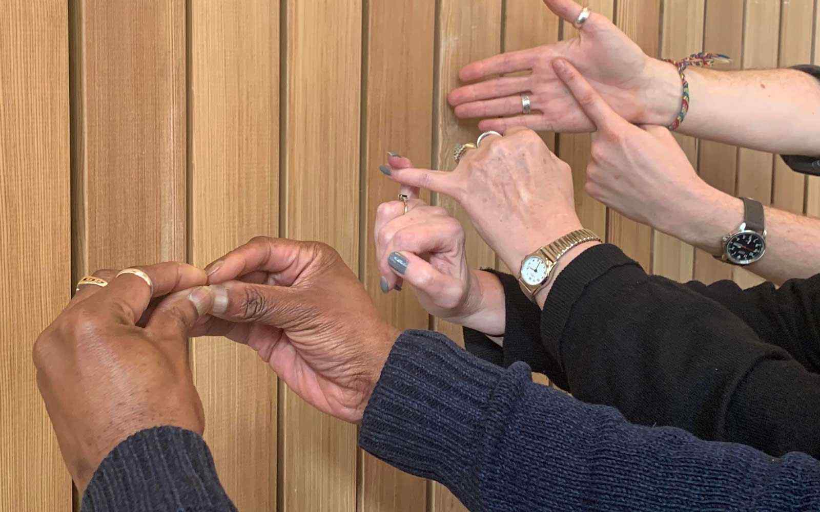 LAB4019M | Introduction to British Sign Language | 2025-26 SEM2 (Group A)