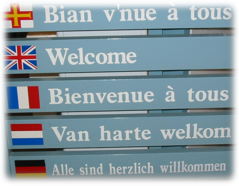 LAL4017M | Introduction to Linguistics and Multilingualism | 2025-26 SEM1 (Group A)