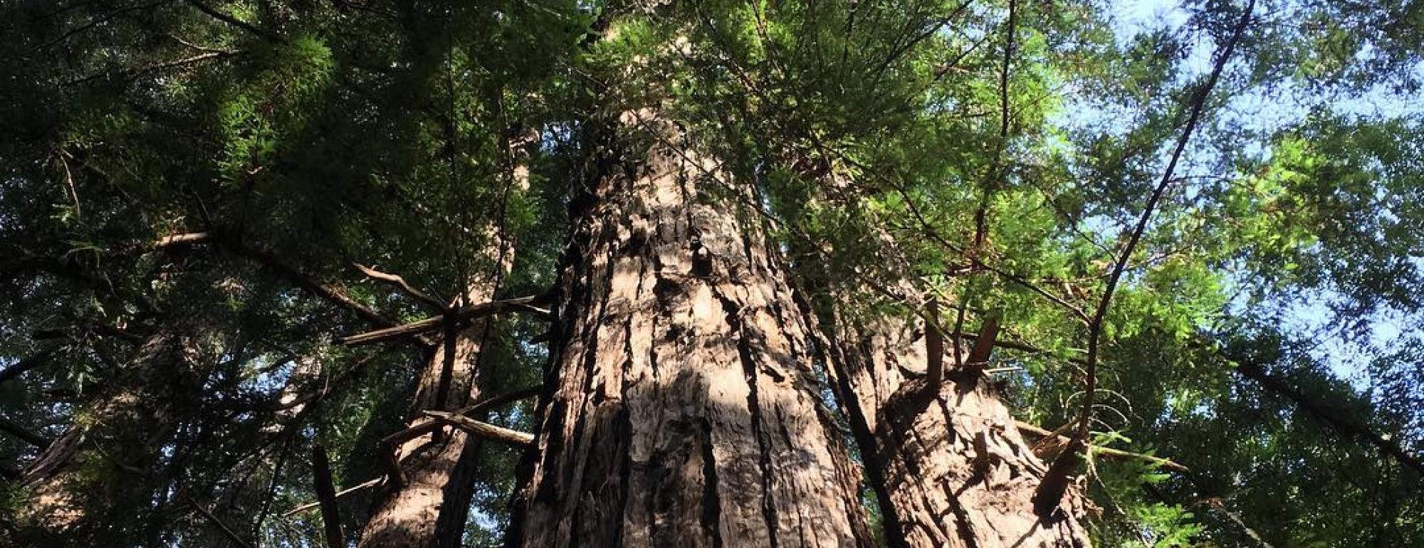 GEO7005M | Political Ecology | 2025-26 SEM2 (Group A)