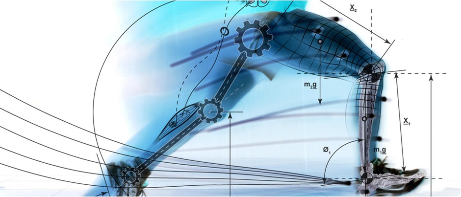 SPO3003M | Human Anatomy, Mechanics and Movement | 2025-26 SEM2 (Group A)