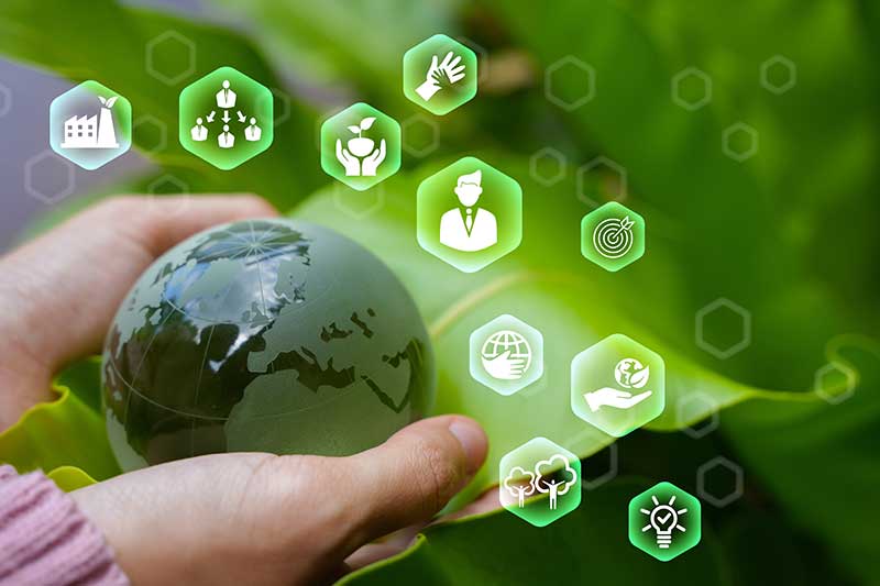 BMB400<span class="highlight">8</span>M-2025-26-DA2-LDN BMB400<span class="highlight">8</span>M | Responsible Business Practice | 2025-26 DA2 (Group LDN)