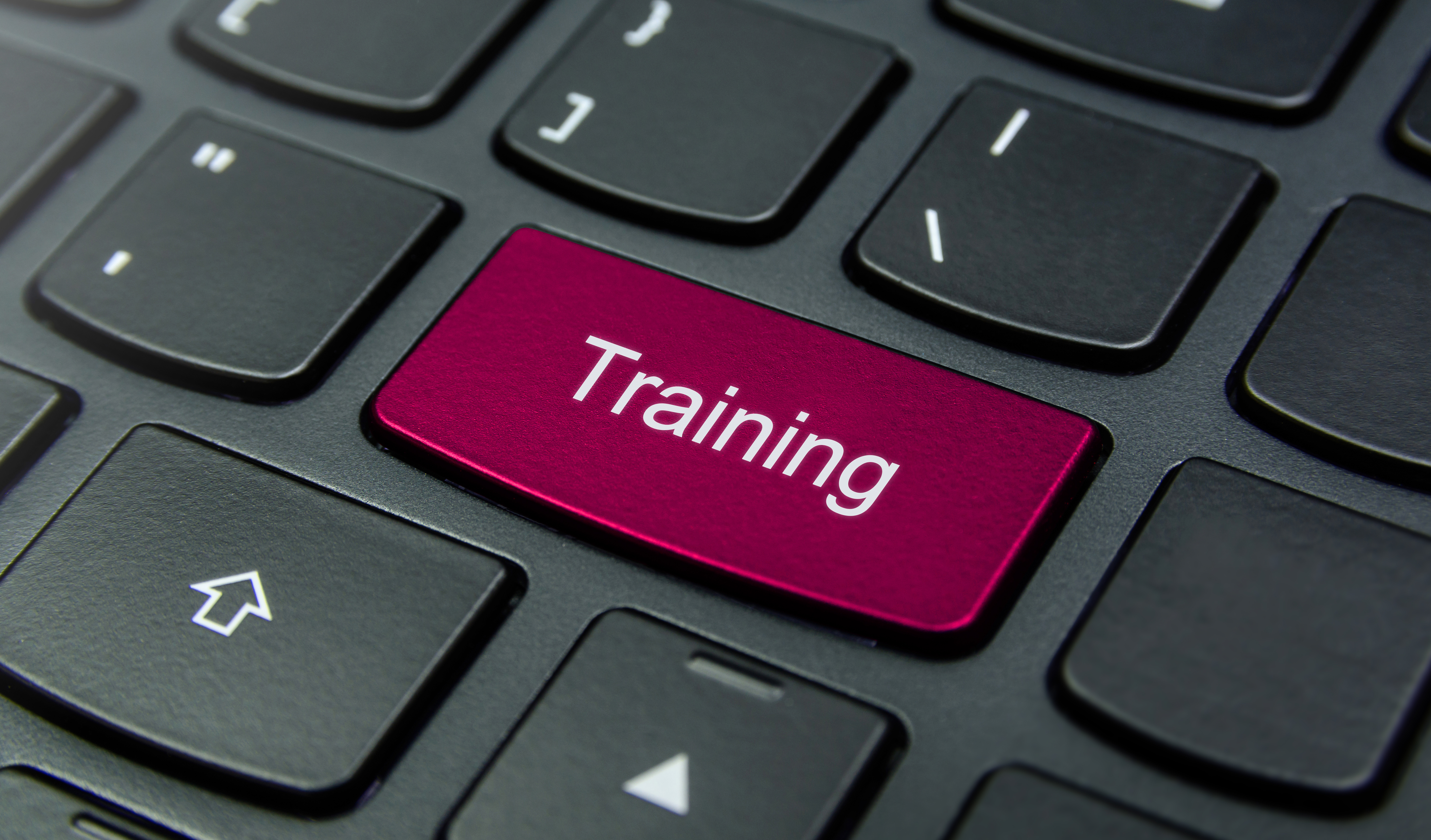 Aleks Moodle Training